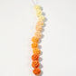 JJB BDS ROSE ORANGE 12 PCS
