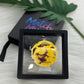 Eliza the Moon Drifter Brooch