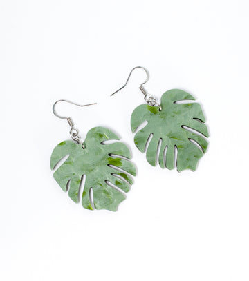 Earthy Intellectual Earrings